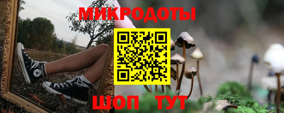 Ленинск-Кузнецкий  Псилоцибиновые грибы Psilocybine cubensis  Вход с VPN 